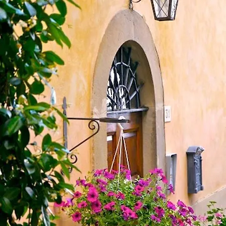 Belvedere