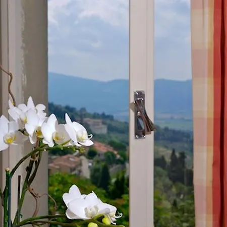 Belvedere Cortona